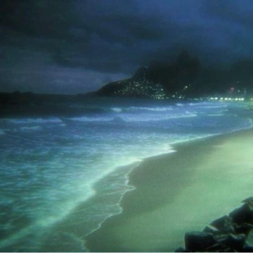 Meet your Posher, Amina